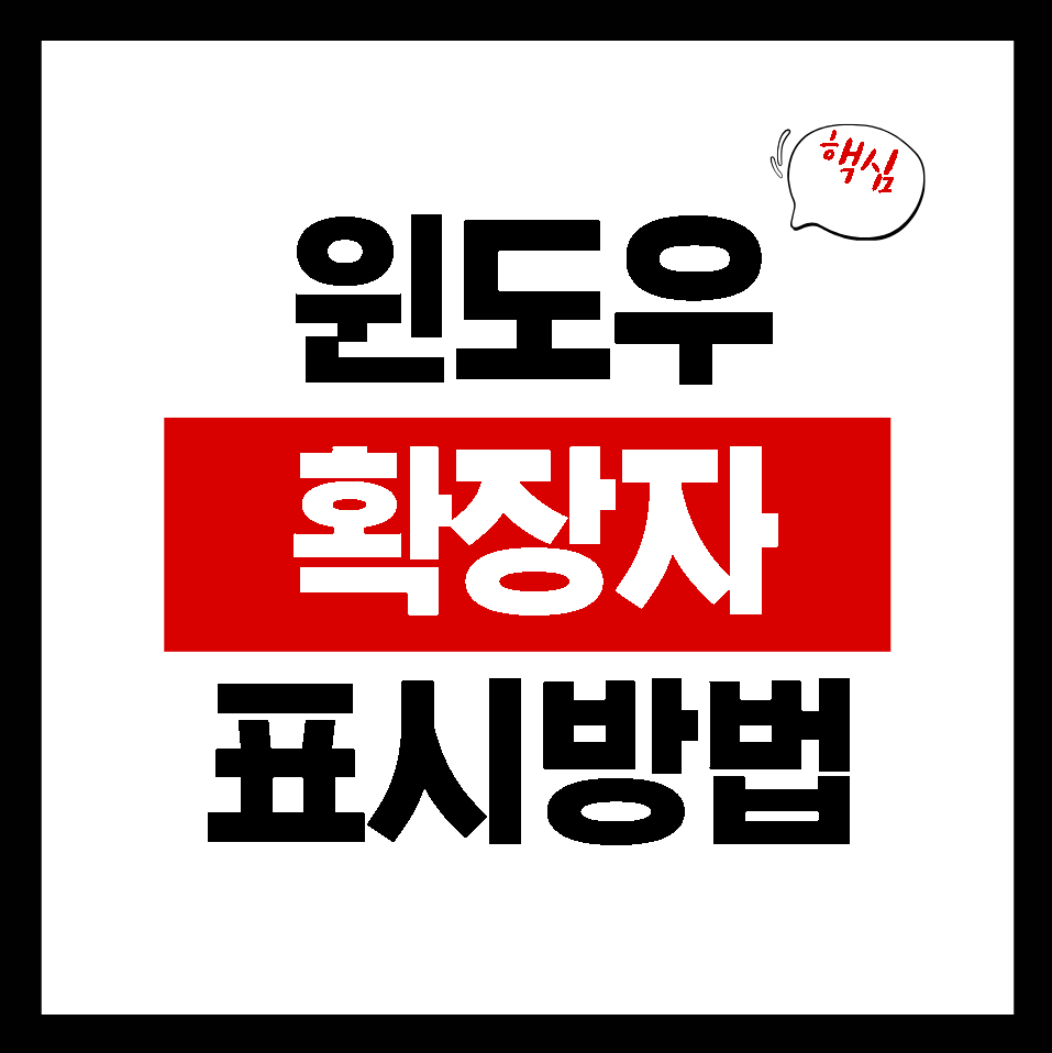 윈도우11 파일 확장자명 표시