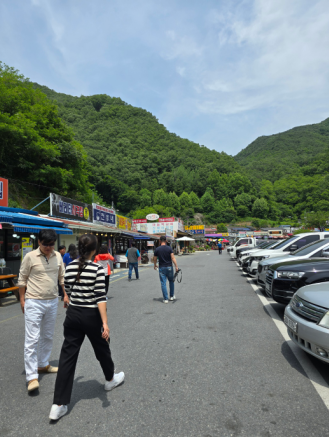 서울식당 주변 단양 식당가 거리