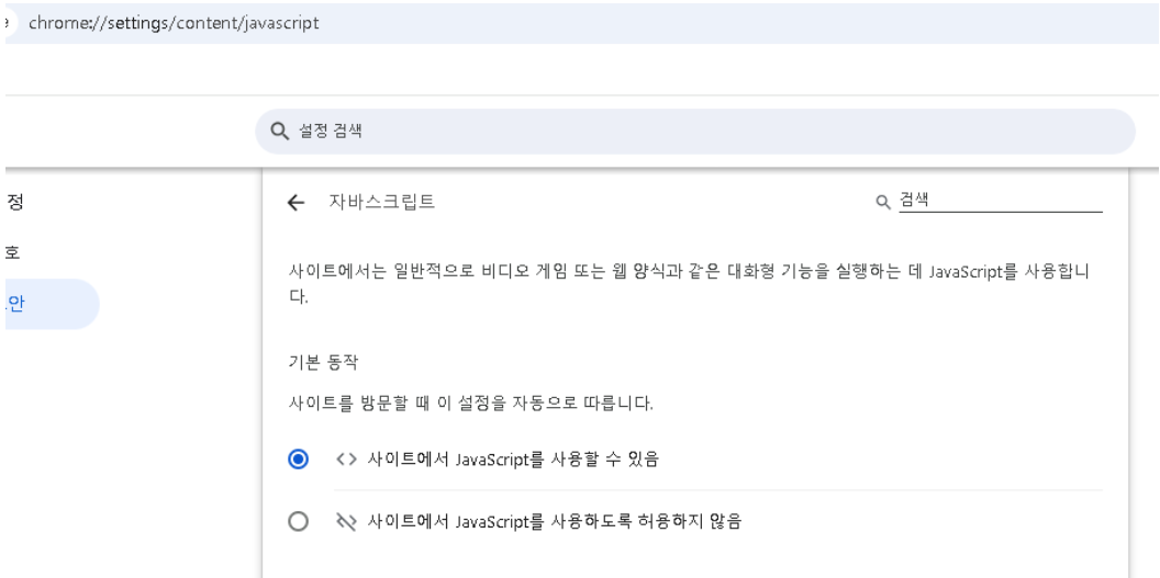 크롬 자바스크립트 설정